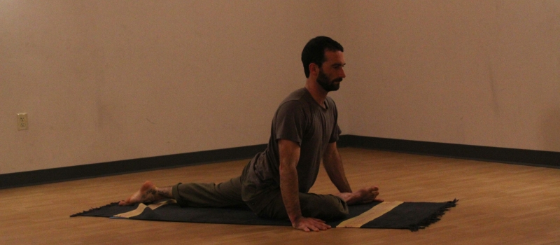 The Bird Is The Word: Yoga for Thanksgiving